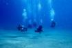 Sharm El Sheikh Diving Holiday